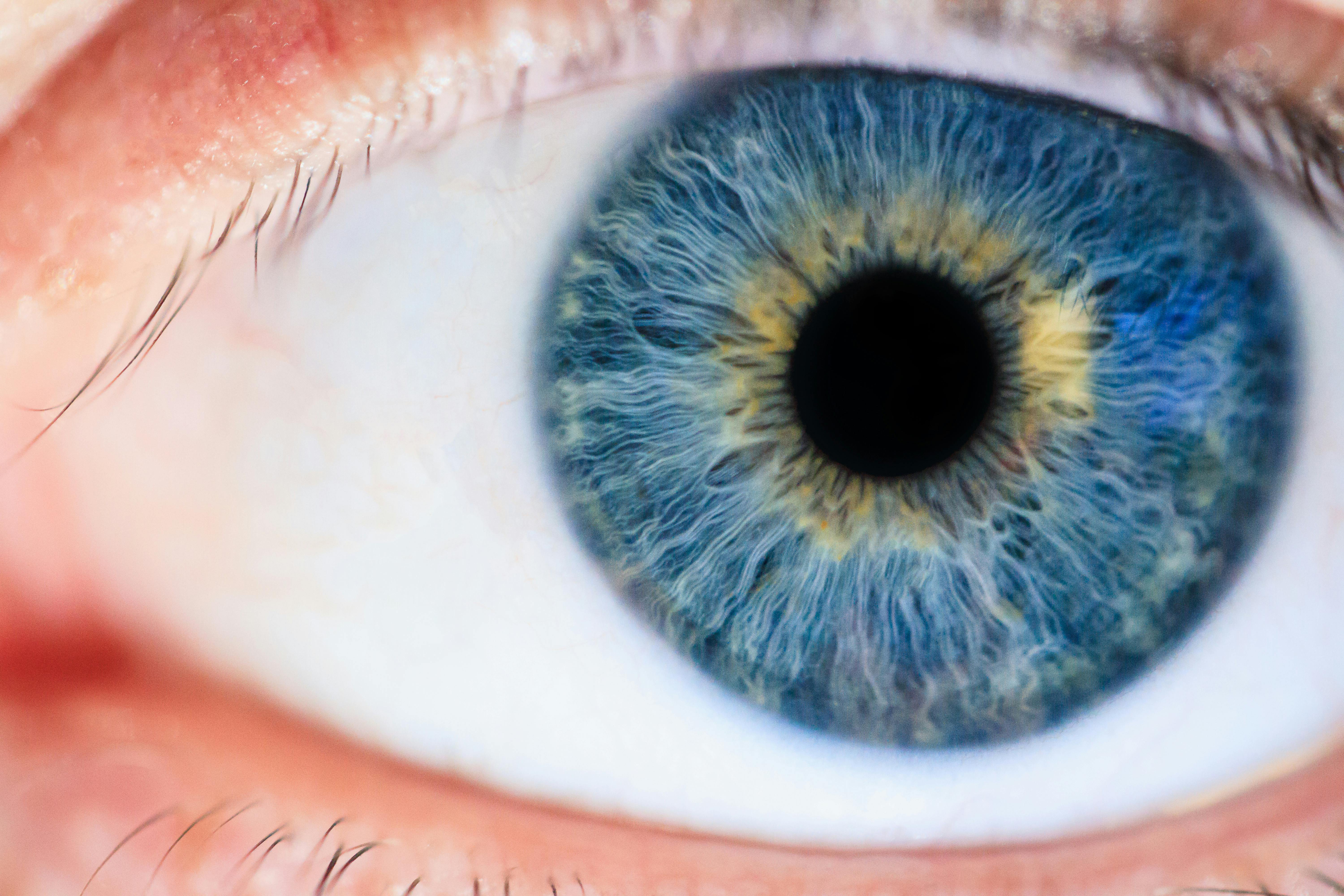 Eye Examination
